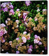 Poppin Floral Bush Acrylic Print