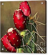 Prickley Pear Fruit Acrylic Print