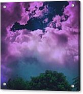 Purple Haze Acrylic Print