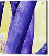Purple Trees Acrylic Print