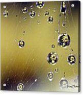 Raindrops On The Spider Web Acrylic Print