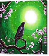 Raven On A Spring Night Acrylic Print