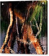 Reflections Acrylic Print by Michelle Wrighton