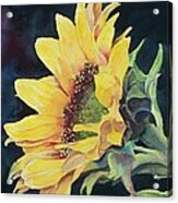 Renee's Sunflower Acrylic Print