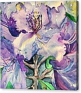 Rhododendron Acrylic Print