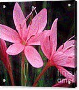 River Lily Acrylic Print