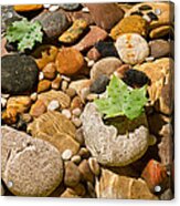 Stacked River Stones Jigsaw Puzzle by Steve Gadomski - Pixels