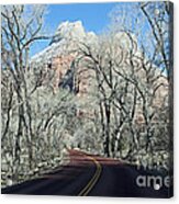 Road Through Zion Canyon Acrylic Print