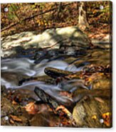 Rockhopping Acrylic Print