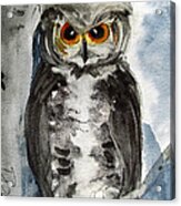 Rocky Mountain Owl Acrylic Print