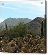 Rugged Arizona Terrain Acrylic Print