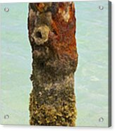 Rusted Dock Pier Of The Caribbean Vii Acrylic Print