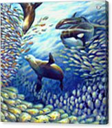 Sailfish Plunders Baitball Iii - Dolphin Fish Seals And Whales Acrylic Print