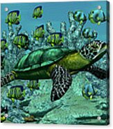 Sea Turtle Acrylic Print