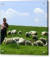 Shepherd And Flock Acrylic Print