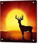 Silhouette Of Deer With Big Sun Acrylic Print