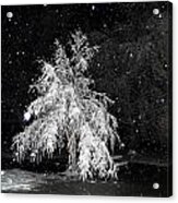 Snowy Night In The Park Acrylic Print