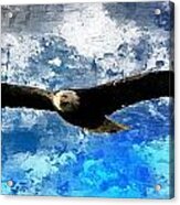 Soaring Acrylic Print