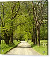 Sparks Lane In Cades Cove Acrylic Print