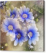 Spring Awakening Acrylic Print