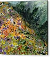 Spring In The Mountain Acrylic Print