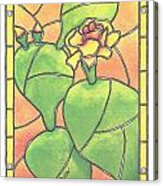 Stained Glass Prickly Pear Acrylic Print