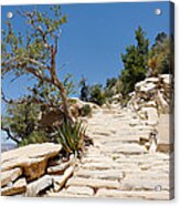 Steps On The Hermit's Rest Trail Ii Acrylic Print