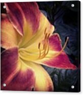 Still Blooming!!! This Is A #beautiful Acrylic Print