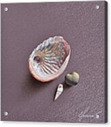 Still Life With Abalone Shell Acrylic Print
