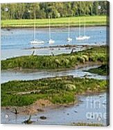 Suffolk Mud Flats Acrylic Print