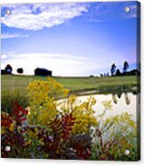 Sumac Golden Rod Asters And More Acrylic Print