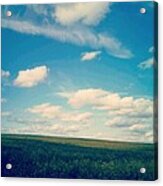 Summer Fields Acrylic Print