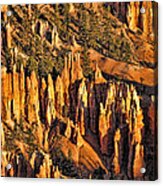 Sunrise At Bryce Canyon 14 Acrylic Print