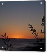 Sunrise On East Coast Of North Island 2 Acrylic Print