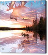 Sunset On Moose Pond Acrylic Print
