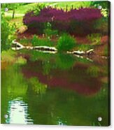 Swan Lake Faux Watercolor Acrylic Print