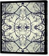 #symetry #symmetry #patterns Acrylic Print