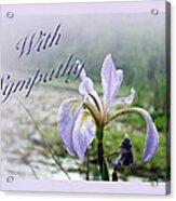 Sympathy Greeting Card - Wild Blue Flag Iris Acrylic Print