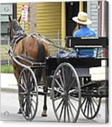 The Amish Way Acrylic Print