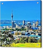 The Auckland Metropolitan Area ( Acrylic Print