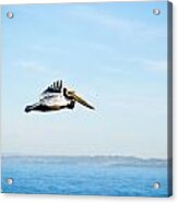 The Flight Acrylic Print