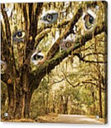 The Forest Has Eyes Acrylic Print