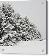 The Simple Beauty Of Winter Acrylic Print