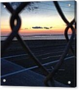Through The Wire Acrylic Print