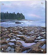 Tide Pools Exposed At Low Tide Acrylic Print