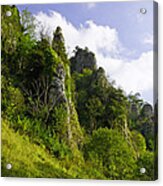 Tissington Spires Acrylic Print