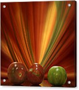 Tomatoes Acrylic Print