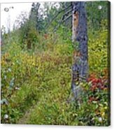 Trail Sign Acrylic Print