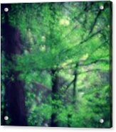 #tree #forest #foggy #plants #green Acrylic Print
