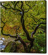 Tree Of Life Acrylic Print